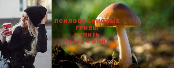 ГАЛЛЮЦИНОГЕННЫЕ ГРИБЫ Навашино