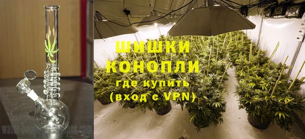 ГАЛЛЮЦИНОГЕННЫЕ ГРИБЫ Навашино