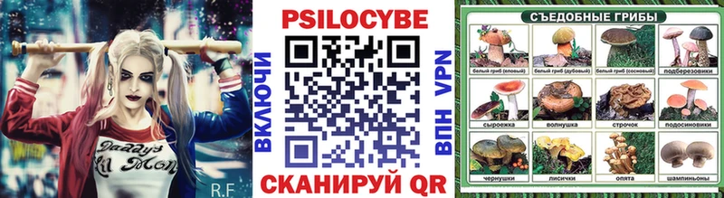 Псилоцибиновые грибы Cubensis Александровск-Сахалинский